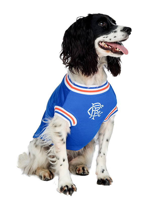 Official Licensed Rangers FC Dog Football Shirts at Urban Pup