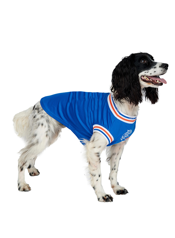 Rangers Football Team Shirt  Dog Rangers Football Club at Urban Pup