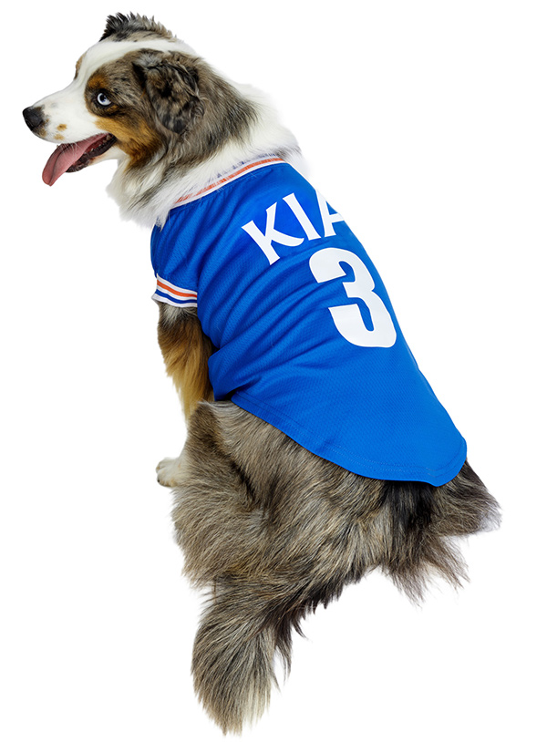 Official Licensed Rangers FC Dog Football Shirts at Urban Pup