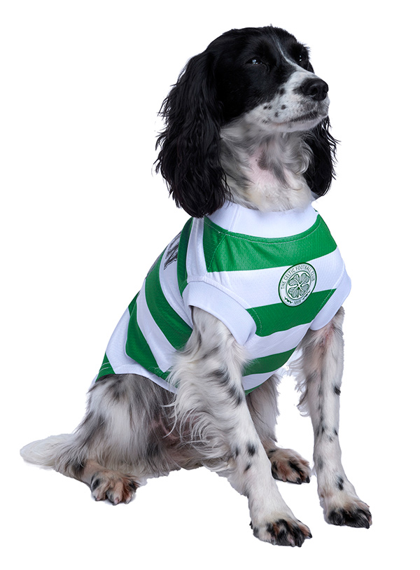 Official Licensed Rangers FC Dog Football Shirts at Urban Pup