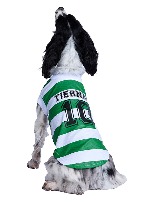 Official Licensed Rangers FC Dog Football Shirts at Urban Pup