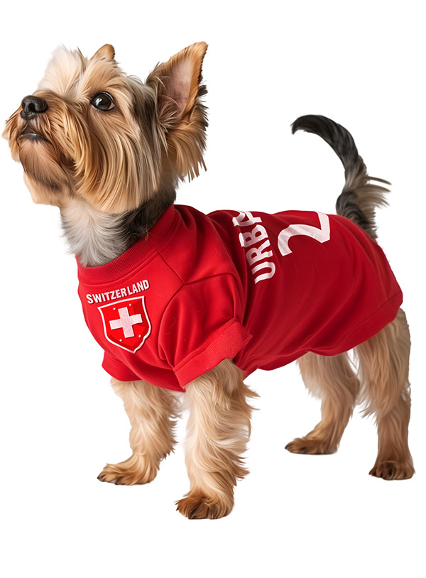 Liverpool dog jersey shop