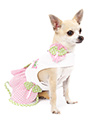 Butterfly Harness Dress, Lead & Hat