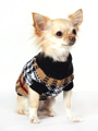Autumn Sweater