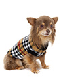 Autumn Sweater