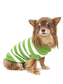 Green & White Candy Stripe Sweater
