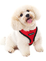 Cherry Red Soft Harness