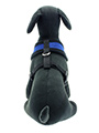 Royal Blue Soft Harness
