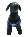 Royal Blue Soft Harness