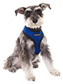 Royal Blue Soft Harness