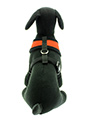 Burnt Orange Soft Harness