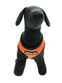 Burnt Orange Soft Harness