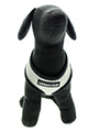 Steel Grey Soft Harness