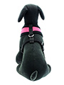 Urban Pup Pink Soft Harness