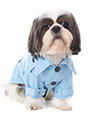Powder Blue Trench Coat