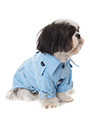 Powder Blue Trench Coat