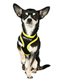 Active Mesh Neon Yellow Harness