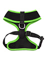 Active Mesh Neon Green Harness