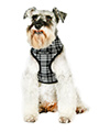 Black & White Tartan Harness