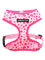Pink Hearts Harness