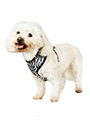 Zebra Print Harness