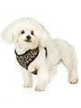 Leopard Print Harness