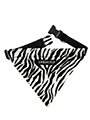 Zebra Print Bandana