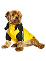 Trailfinder Windbreaker Jacket 