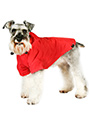 Explorer Windbreaker Sport Jacket 