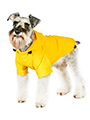 Explorer Windbreaker Sport Jacket