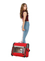 Red Travel Carrier