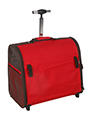Red Travel Carrier
