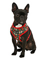 Skull & Roses Harness