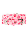 Pink Hearts Fabric Collar & Lead Set