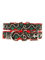 Skull & Roses Fabric Collar & Lead Set