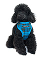 Luxury Fur Lined Blue Tartan Harness
