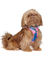 Pink / Blue Floral Burst Harness