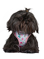 Pink Floral Cascade Harness