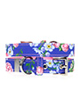 Pink / Blue Floral Burst Fabric Collar & Lead Set