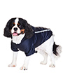 Ink Blue Rainstorm Rain Coat