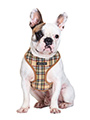 Brown Tartan Harness