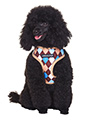 Brown & Blue Argyle Harness