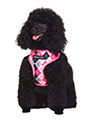 Pink Argyle Harness