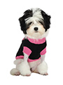 Black & Pink Mod Sweater
