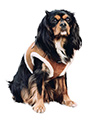 Luxury Brown & Cream Faux Shearling Harness