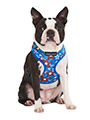 Hero Star Harness