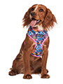 Pink Graffiti Harness