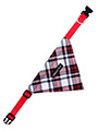 Red & White Plaid Bandana
