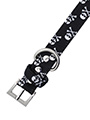 Skulls & Crossbones Fabric Collar