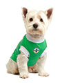 Northern Ireland Football Team Shirt